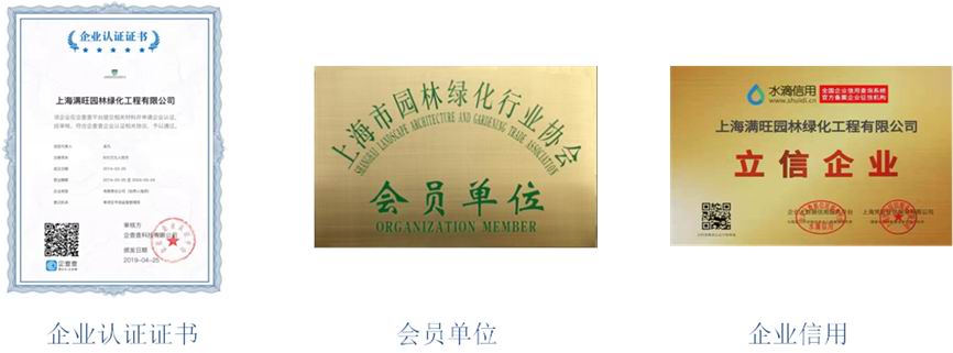 1677760609121349.jpg 2.jpg